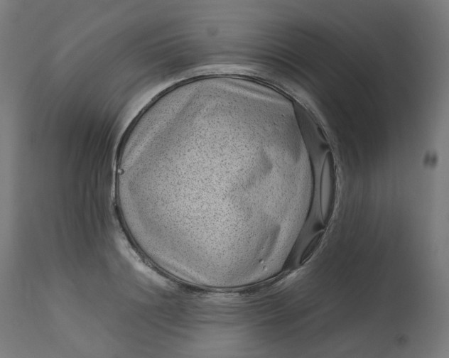 X0000112750844200909171224