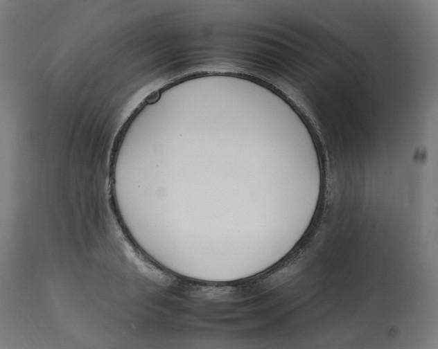 X0000112750845200909171224