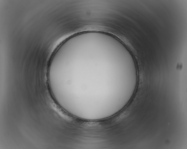 X0000112750846200909171224