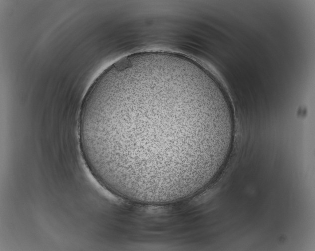 X0000112750847200909171224