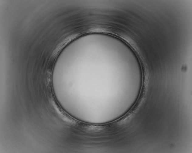 X0000112750849200909171224