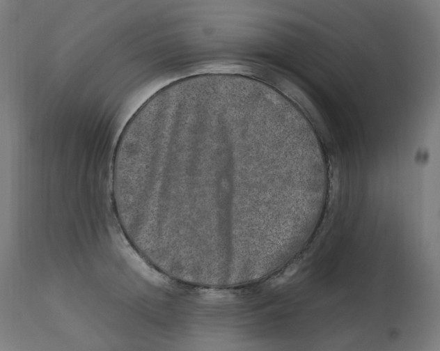 X0000112750852200909171224