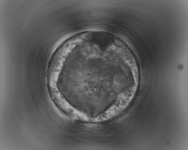 X0000112750853200909171224