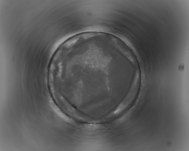 X0000112750854200909171224