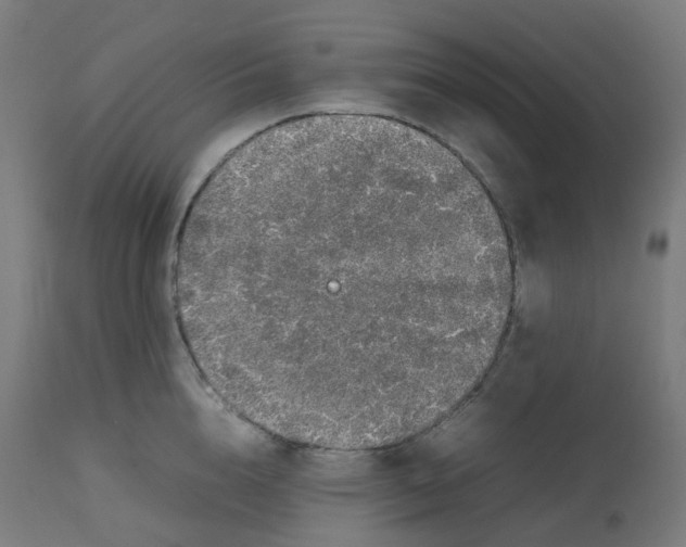 X0000112750856200909171224