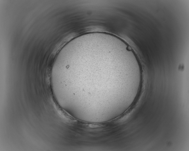 X0000112750857200909171224