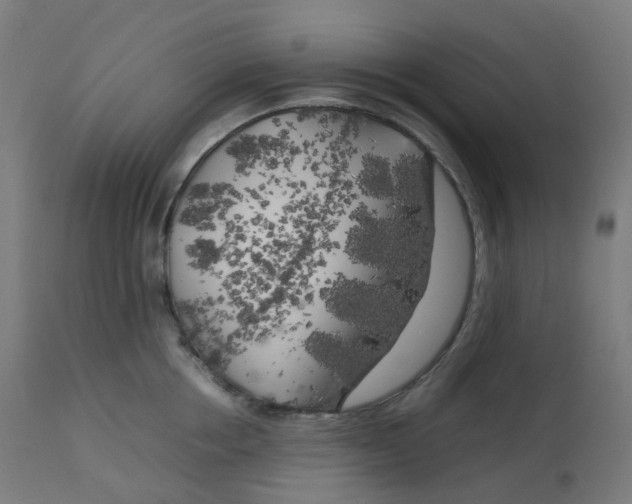 X0000112750858200909171224