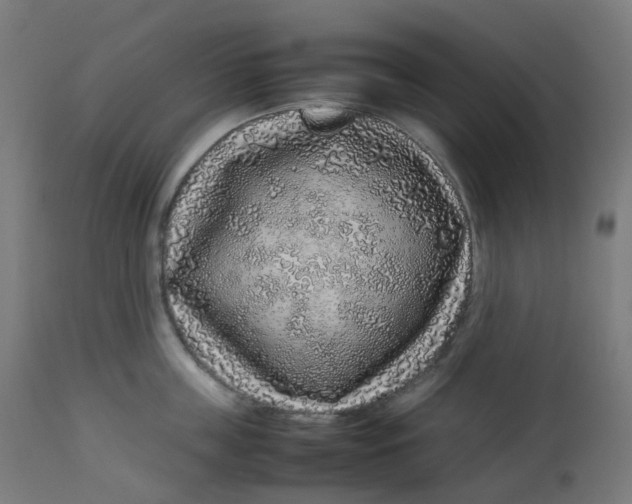 X0000112750859200909171224