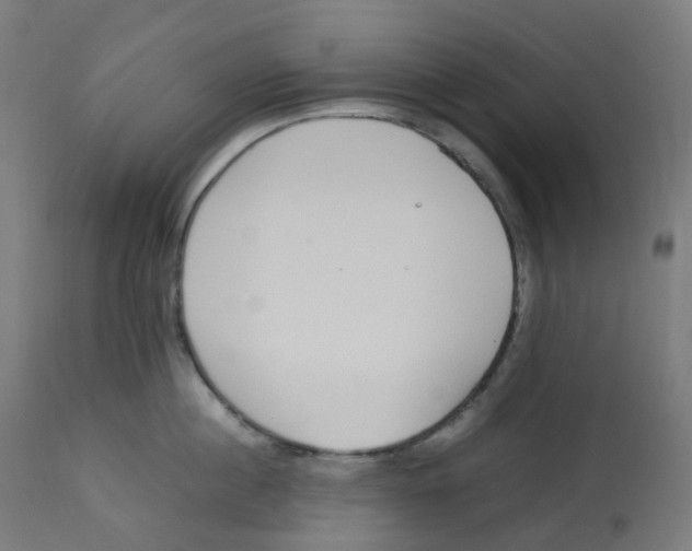 X0000112750860200909171224