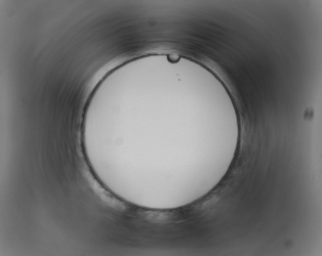 X0000112750861200909171224