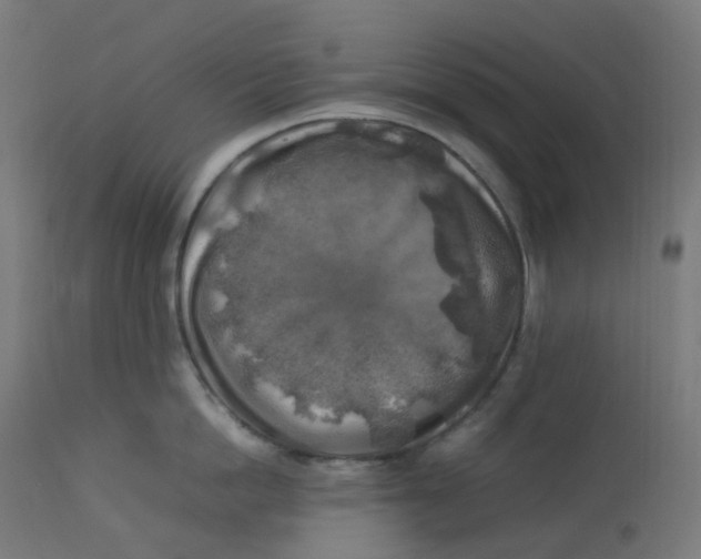 X0000112750862200909171224