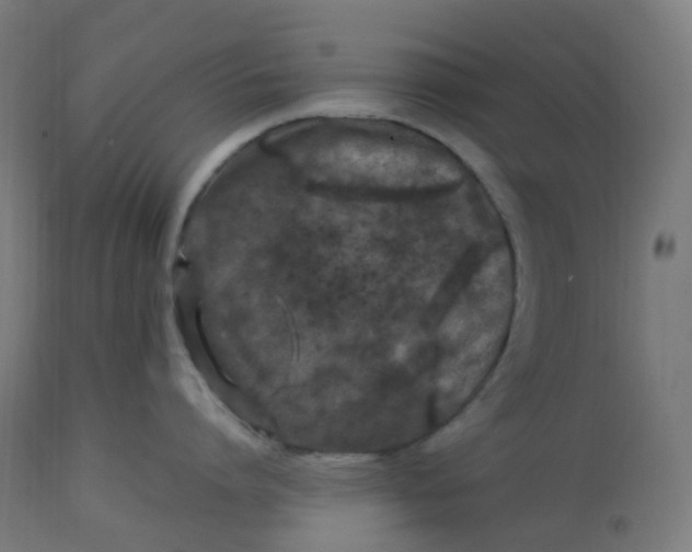 X0000112750864200909171224