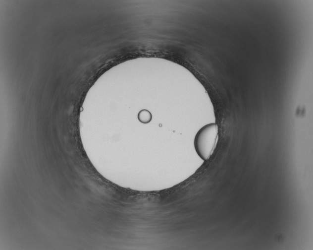 X0000112750865200909171224