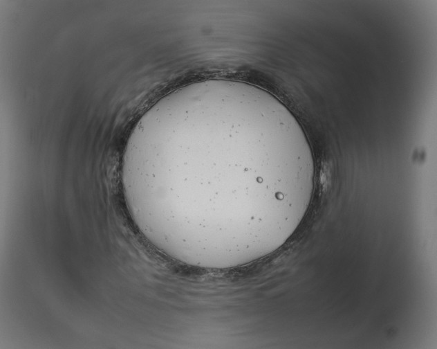 X0000112750867200909171224