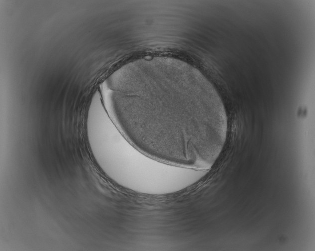 X0000112750868200909171224