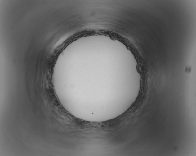 X0000112750871200909171224