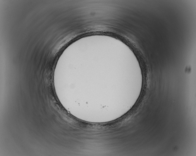 X0000112750873200909171224