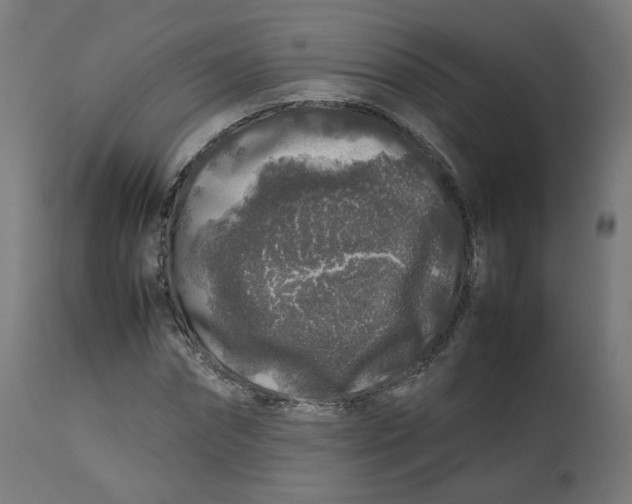 X0000112750874200909171224