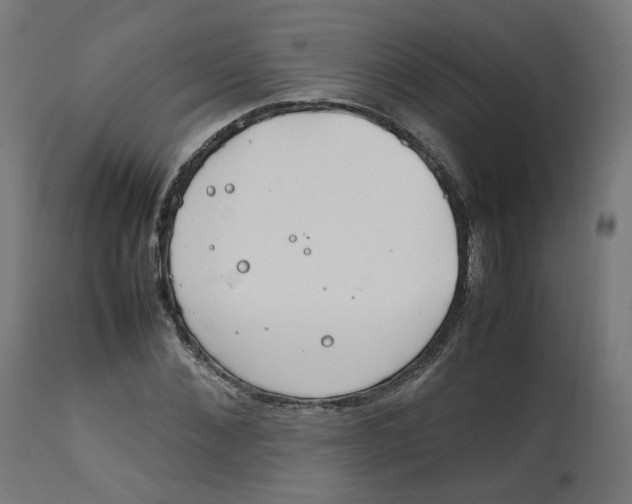 X0000112750876200909171224