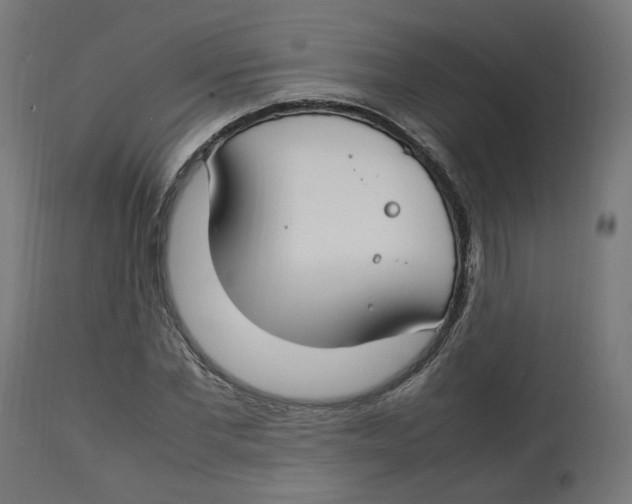 X0000112750877200909171224