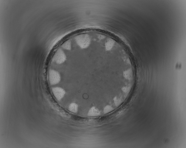 X0000112750879200909171224