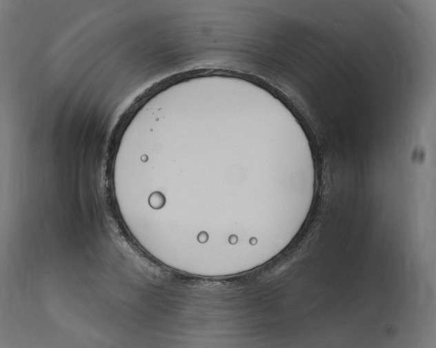 X0000112750880200909171224