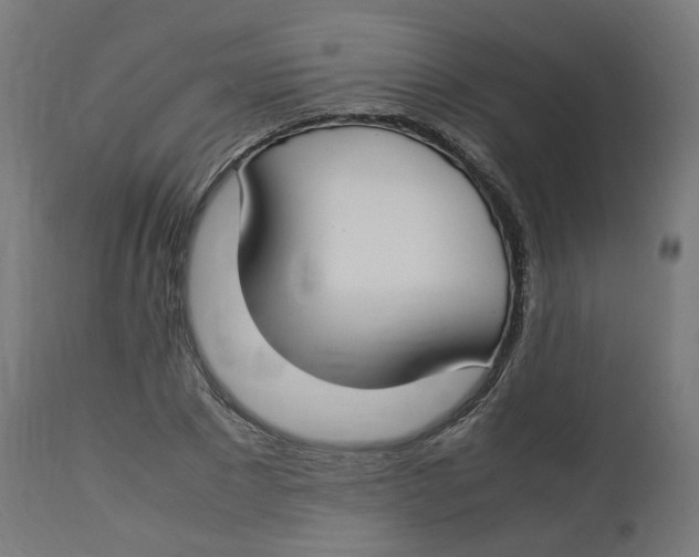 X0000112750881200909171224