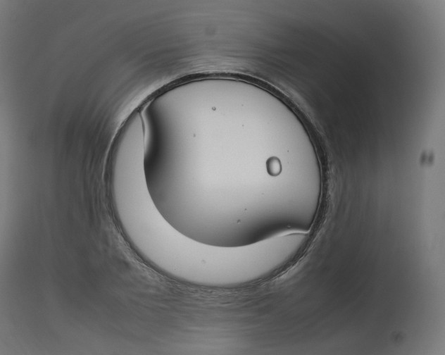 X0000112750885200909171224