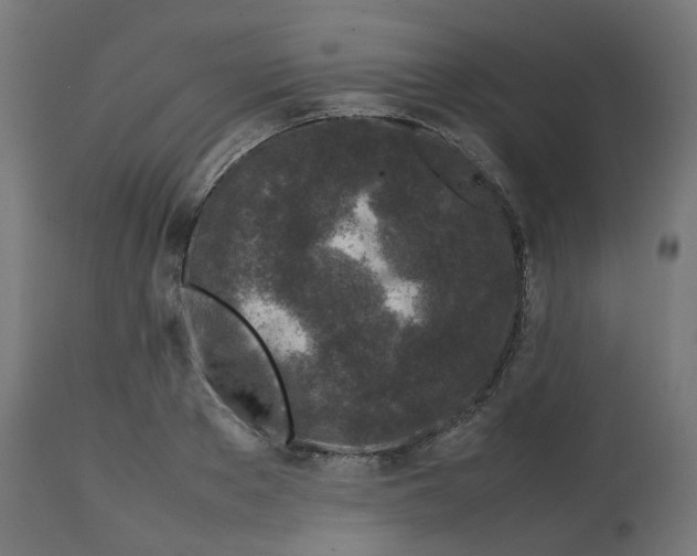 X0000112750889200909171223