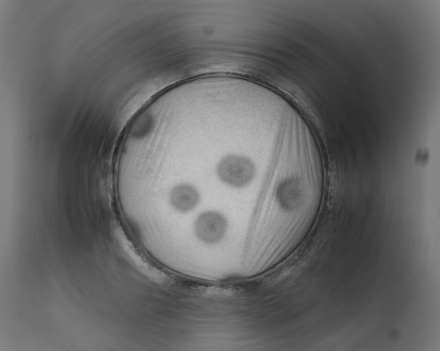 X0000112750890200909171223