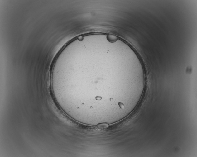 X0000112750891200909171223