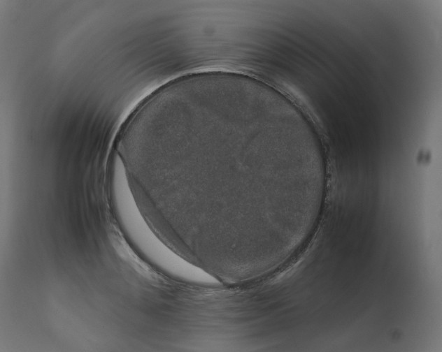 X0000112750892200909171223