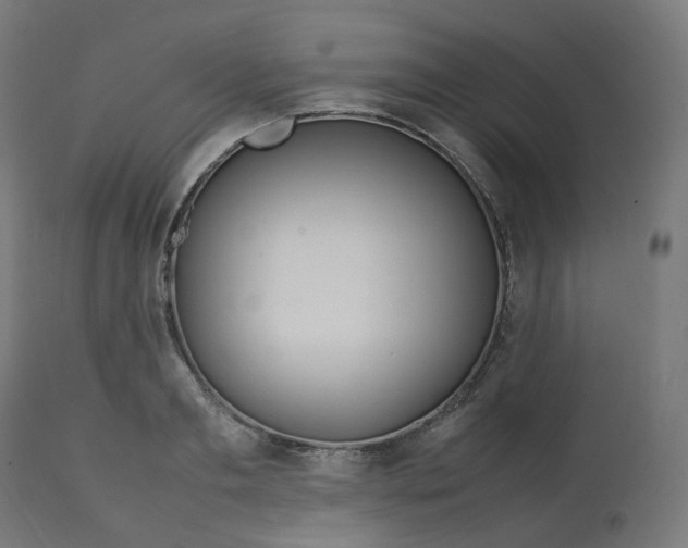 X0000112750893200909171223