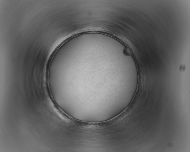 X0000112750894200909171223