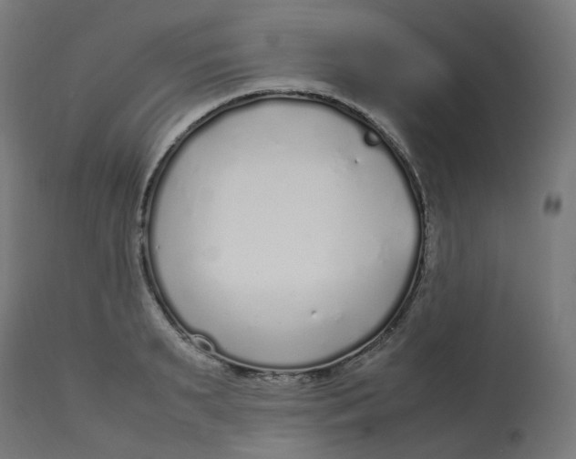 X0000112750895200909171223