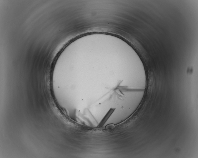 X0000112750896200909171223