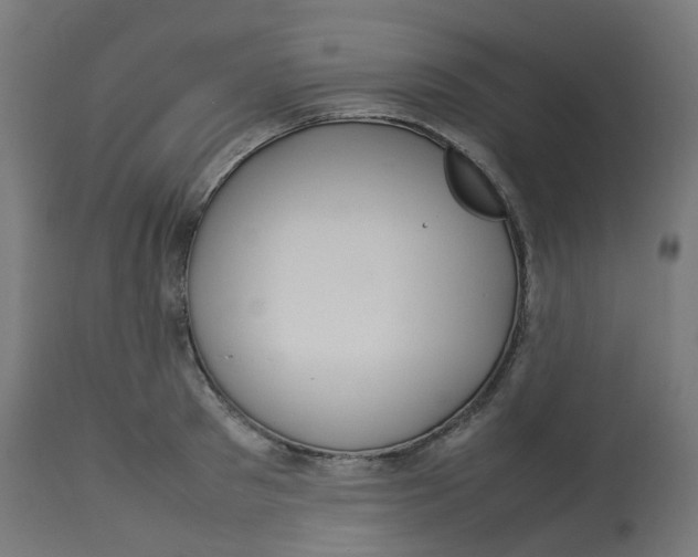 X0000112750897200909171223