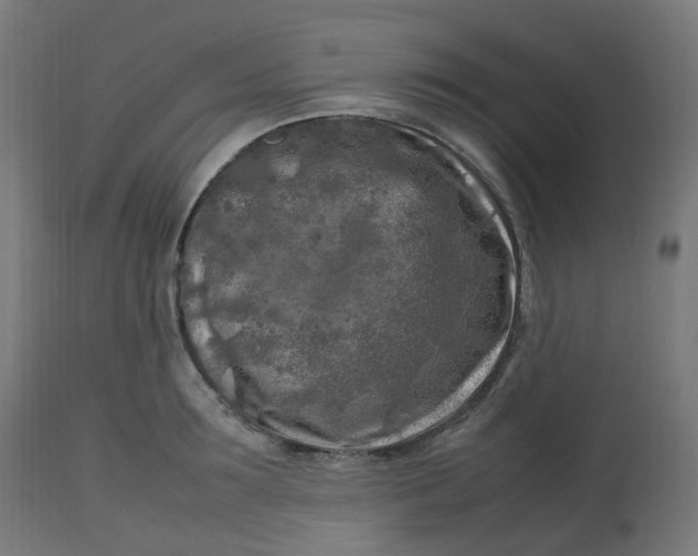 X0000112750899200909171223