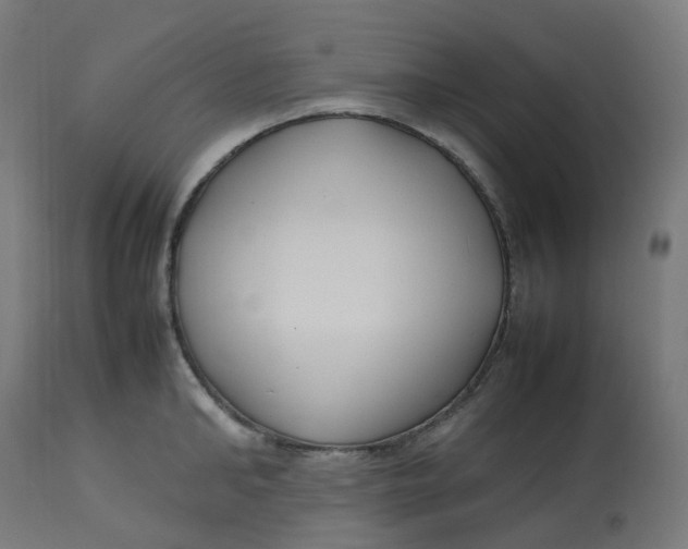 X0000112750902200909171223