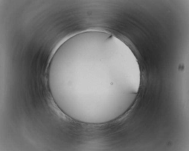 X0000112750908200909171223