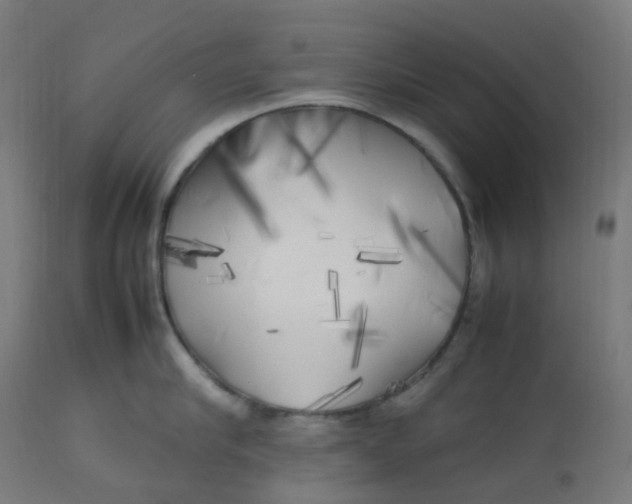X0000112750910200909171223
