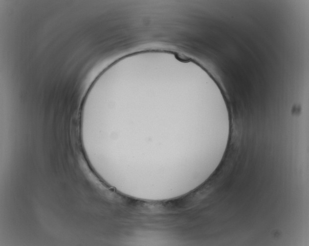 X0000112750911200909171223