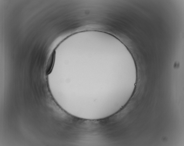 X0000112750912200909171223