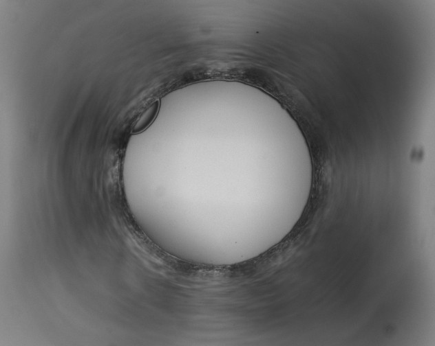 X0000112750914200909171222