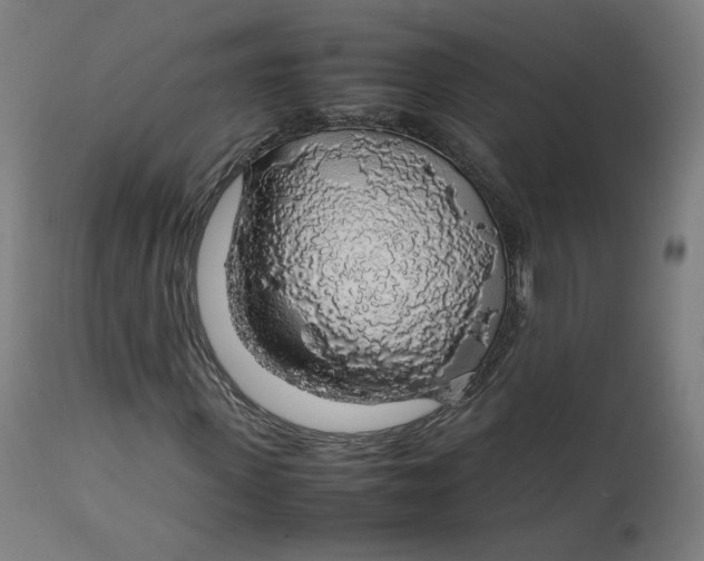 X0000112750915200909171222