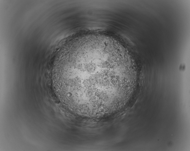 X0000112750917200909171222