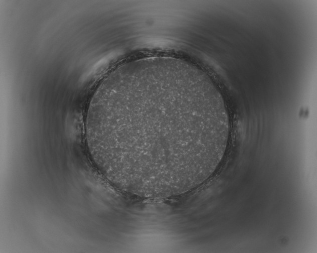 X0000112750918200909171222