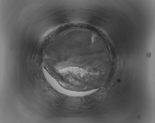 X0000112750919200909171222