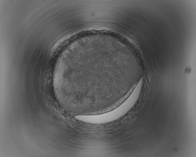 X0000112750920200909171222