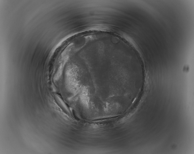 X0000112750923200909171222